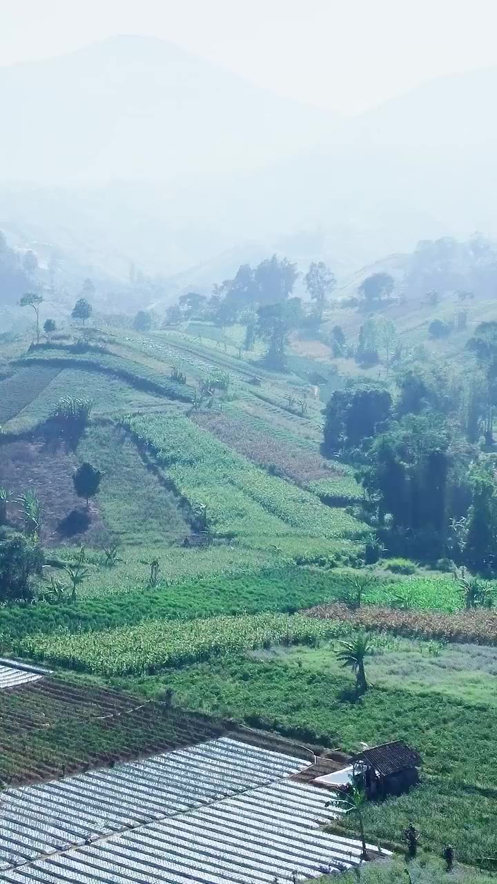 Tamu Undangan Terakhir