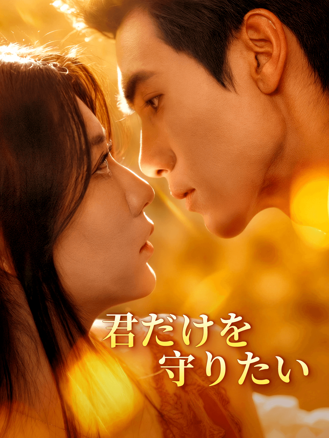 君だけを守りたい