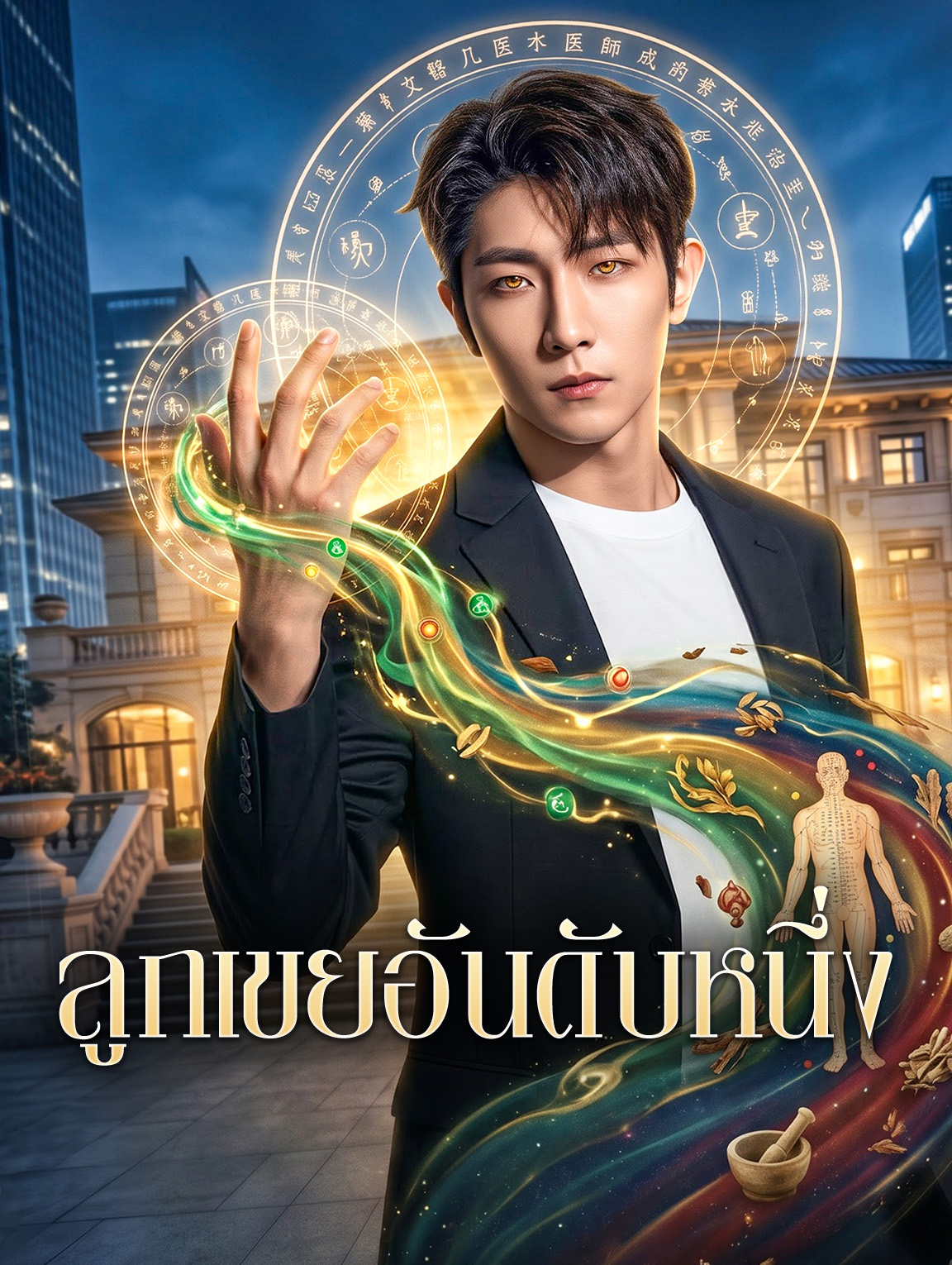 ลูกเขยอันดับหนึ่ง