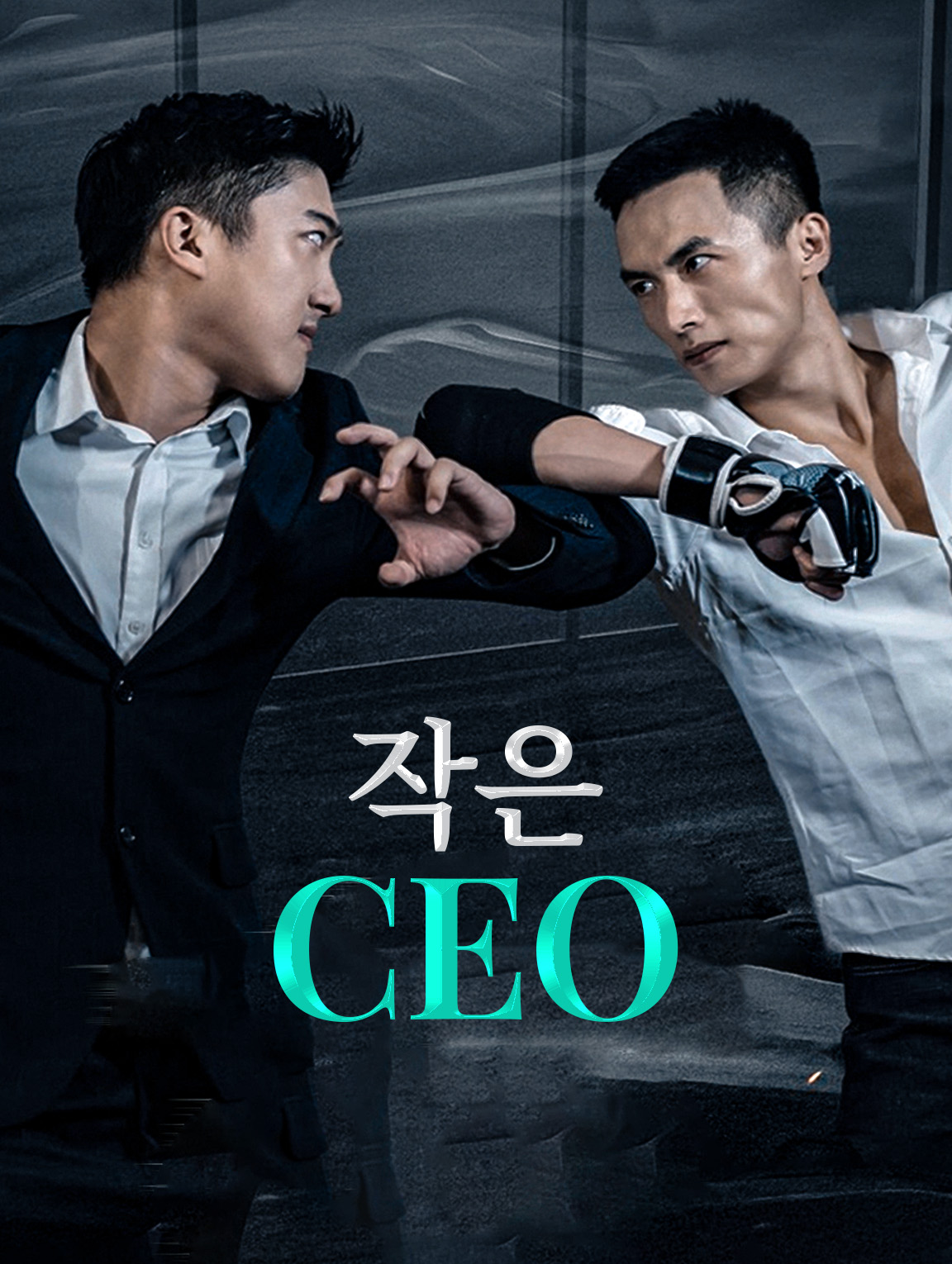 작은 CEO