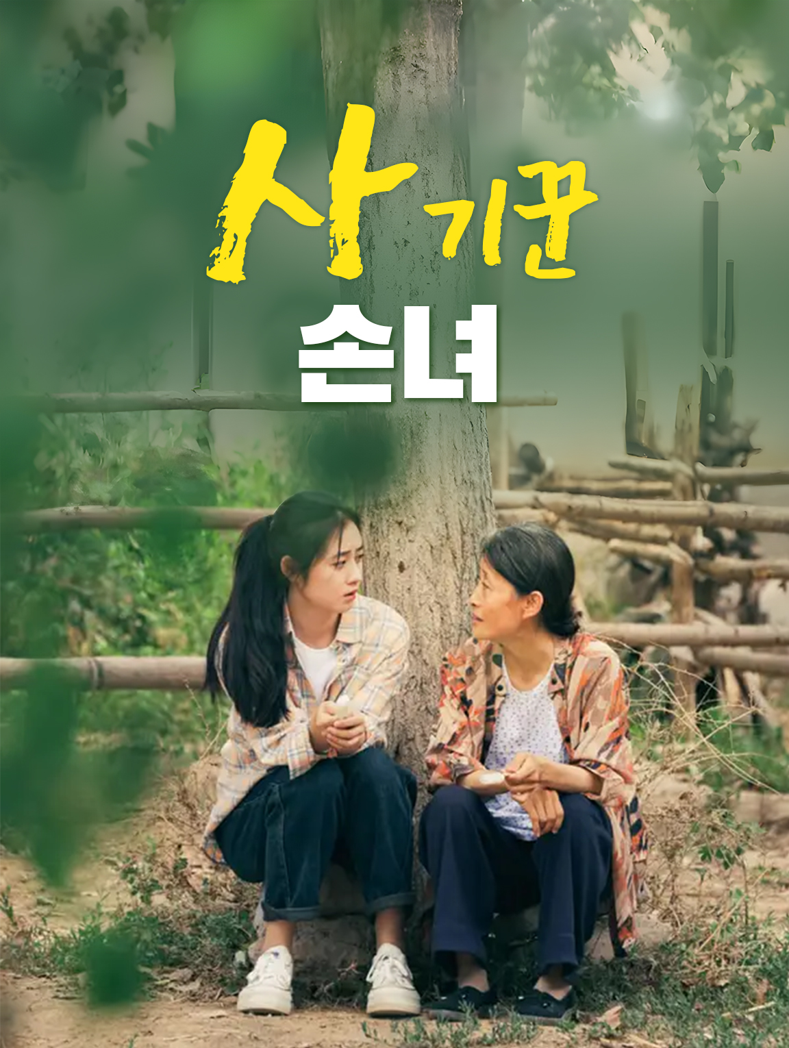 사기꾼 손녀