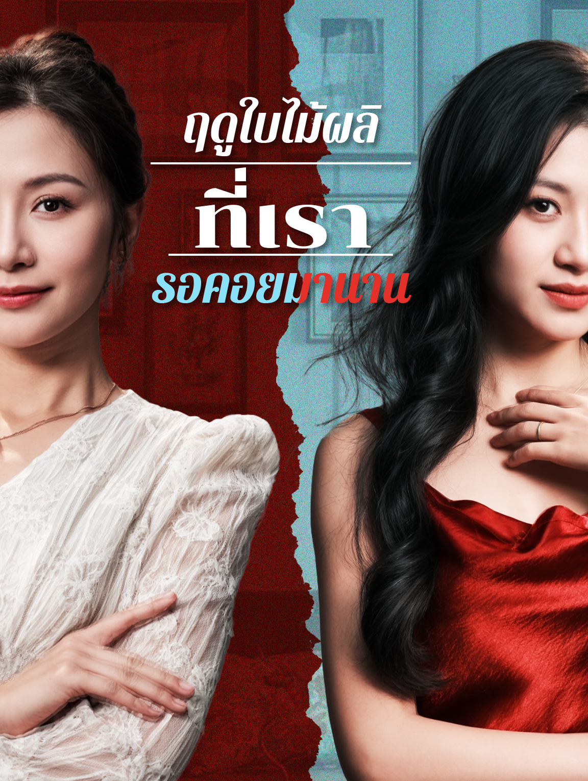 ฤดูใบไม้ผลิที่เรารอคอยมานาน