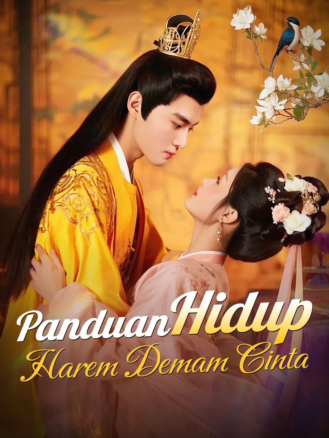 Panduan Hidup Harem Demam Cinta