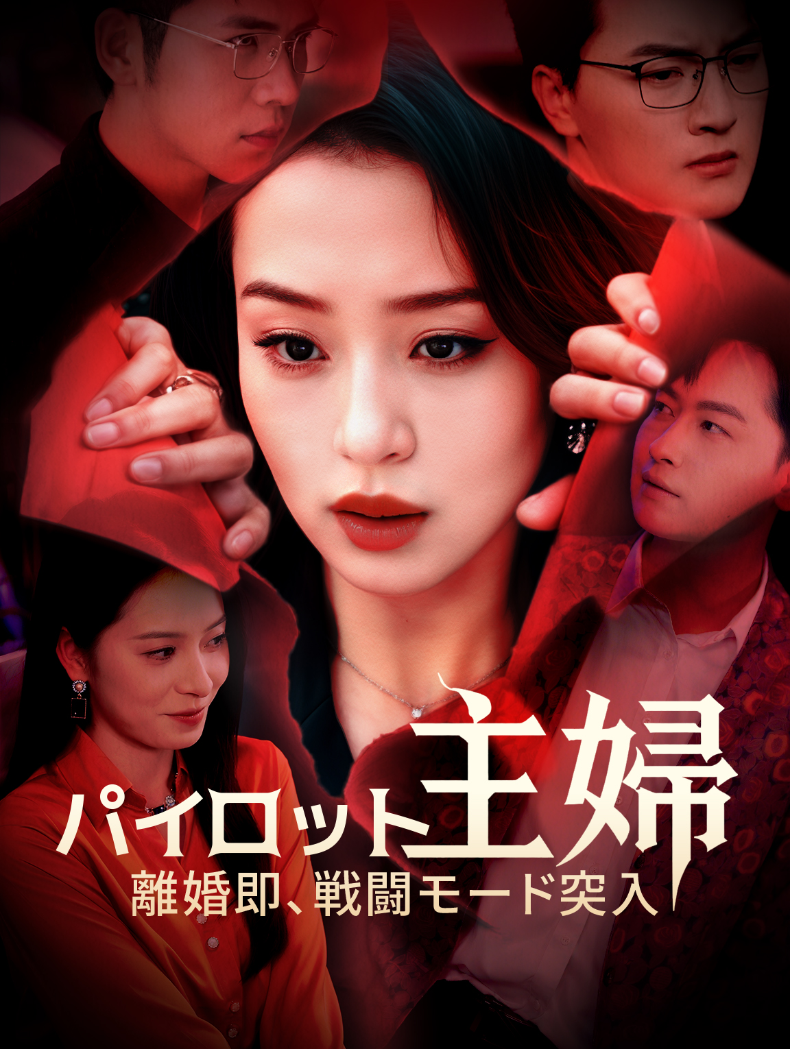 パイロット主婦～離婚即、戦闘モード突入～