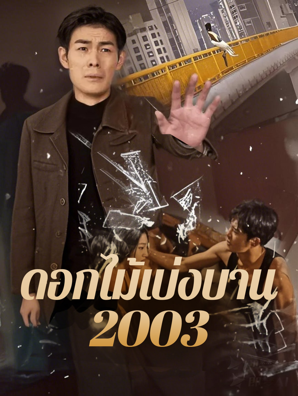ดอกไม้เบ่งบาน 2003