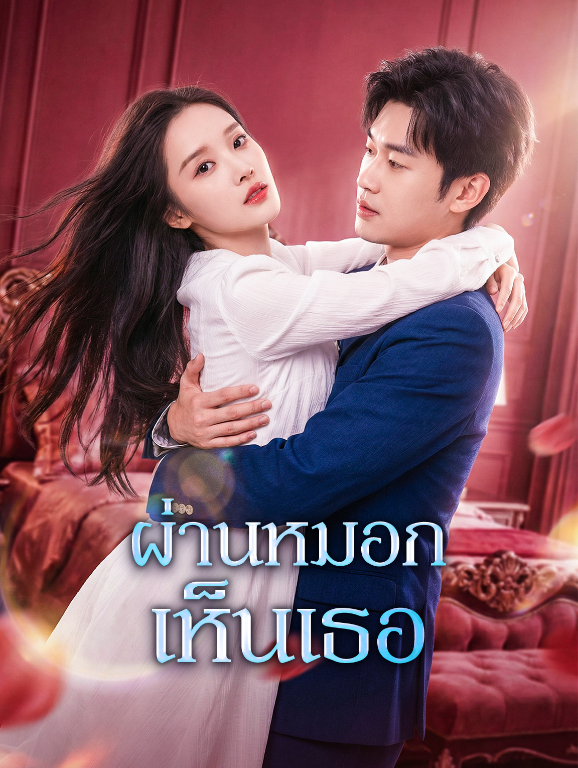 โปสเตอร์ ผ่านหมอก เห็นเธอ