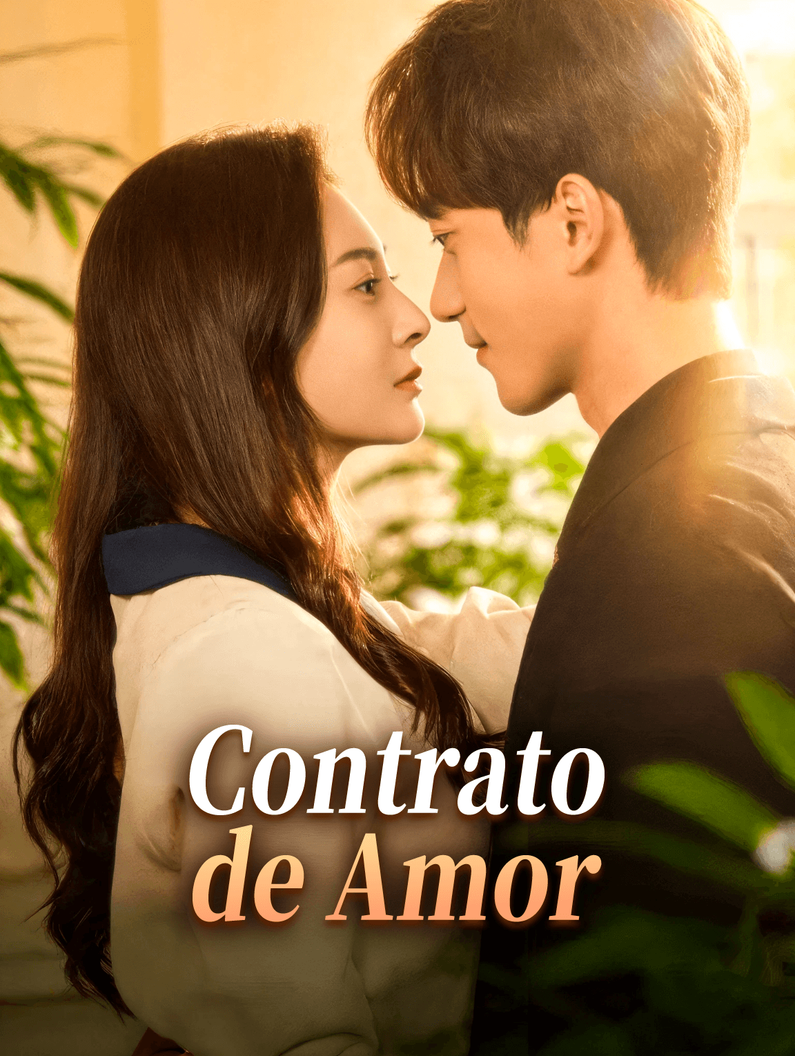 Contrato de Amor