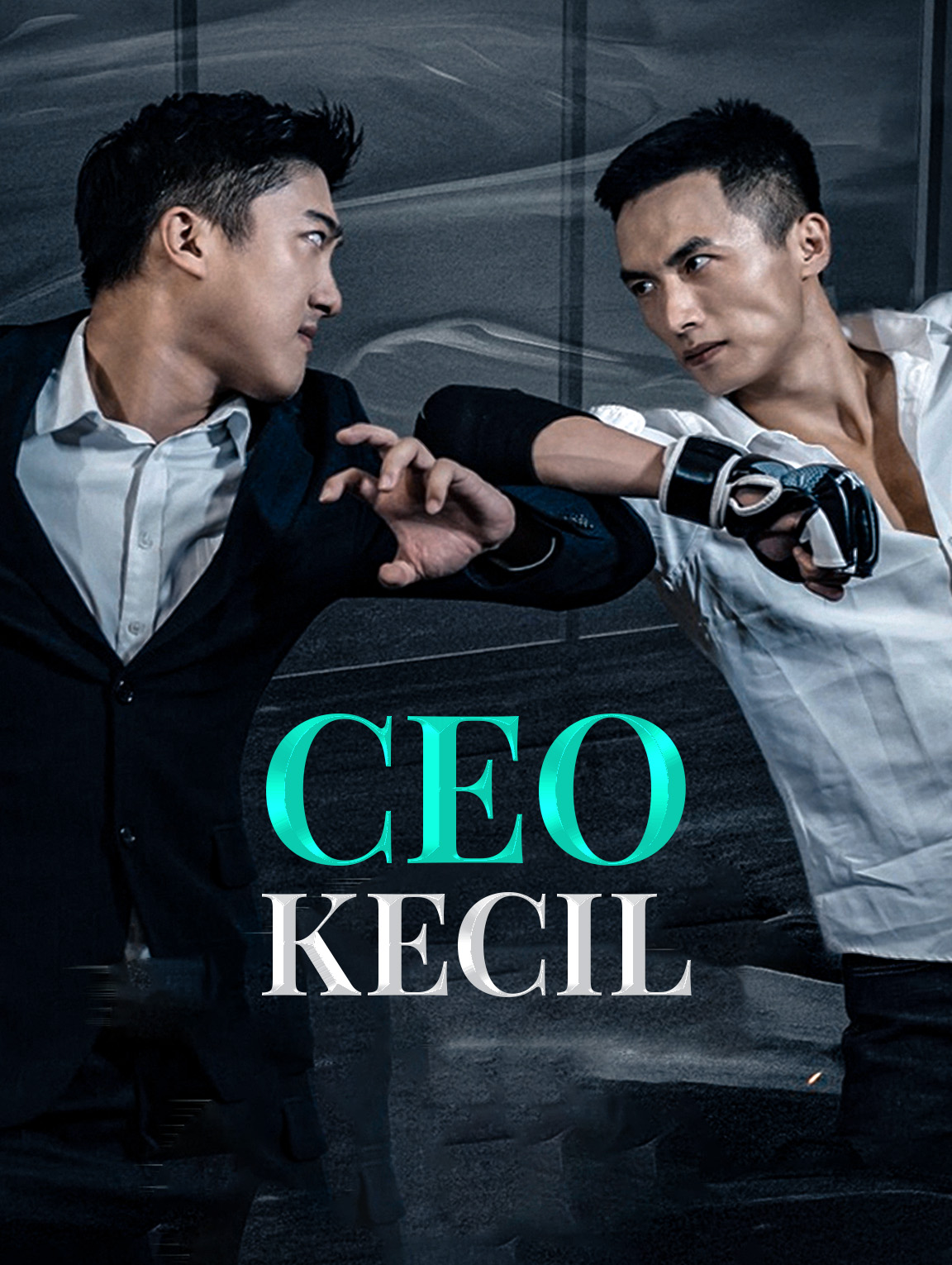 CEO Kecil