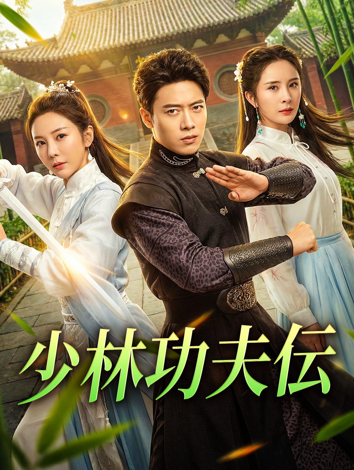少林功夫伝