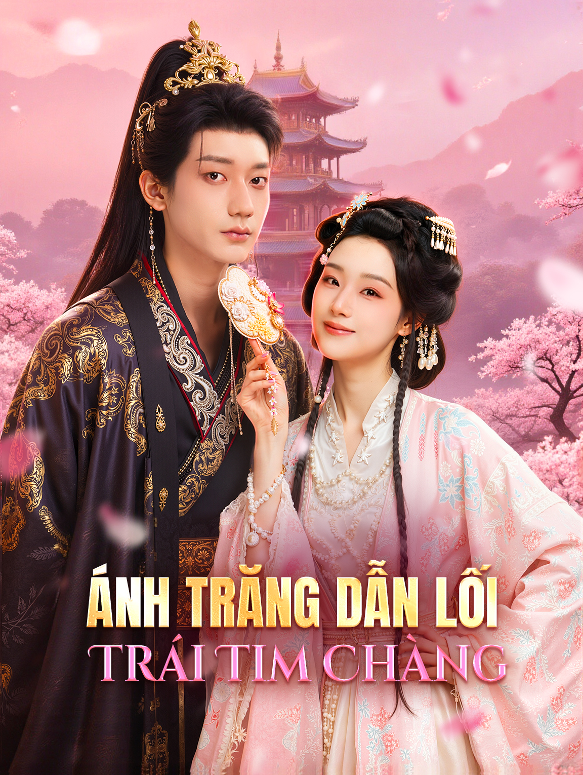 Ánh Trăng Dẫn Lối Trái Tim Chàng