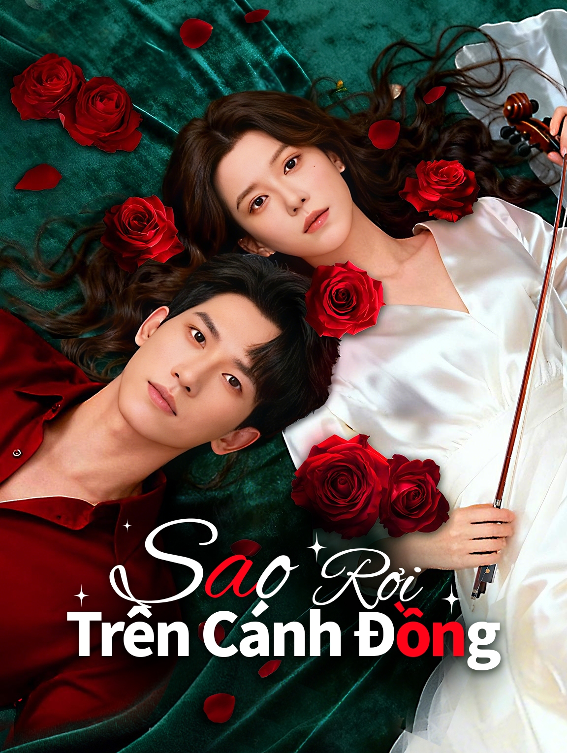 Sao Rơi Trên Cánh Đồng