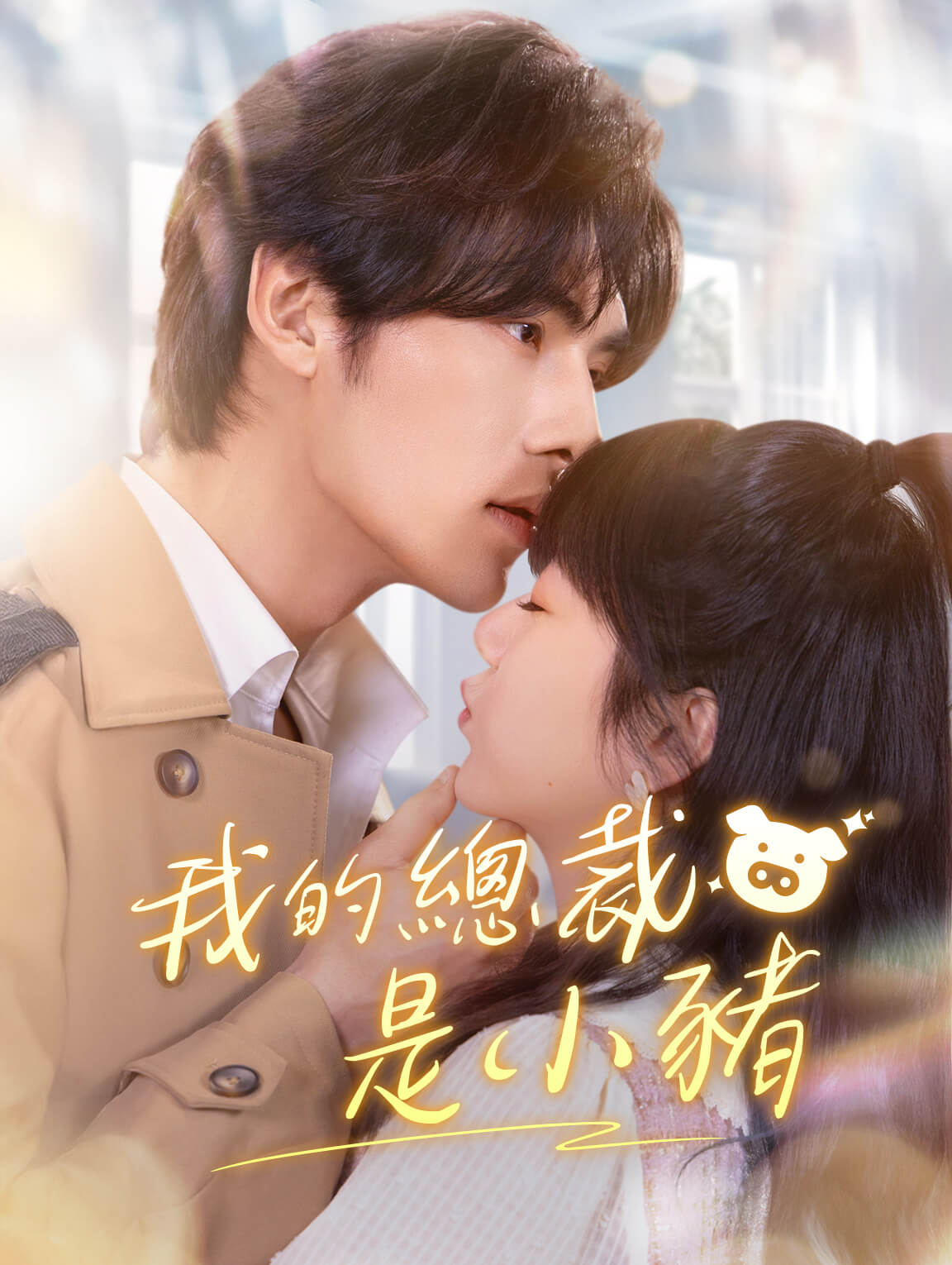 我的總裁是小豬