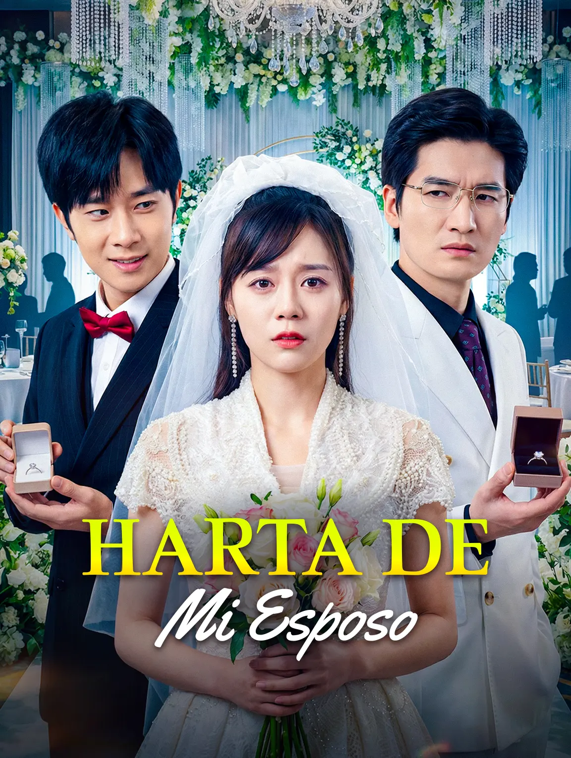 Harta de Mi Esposo