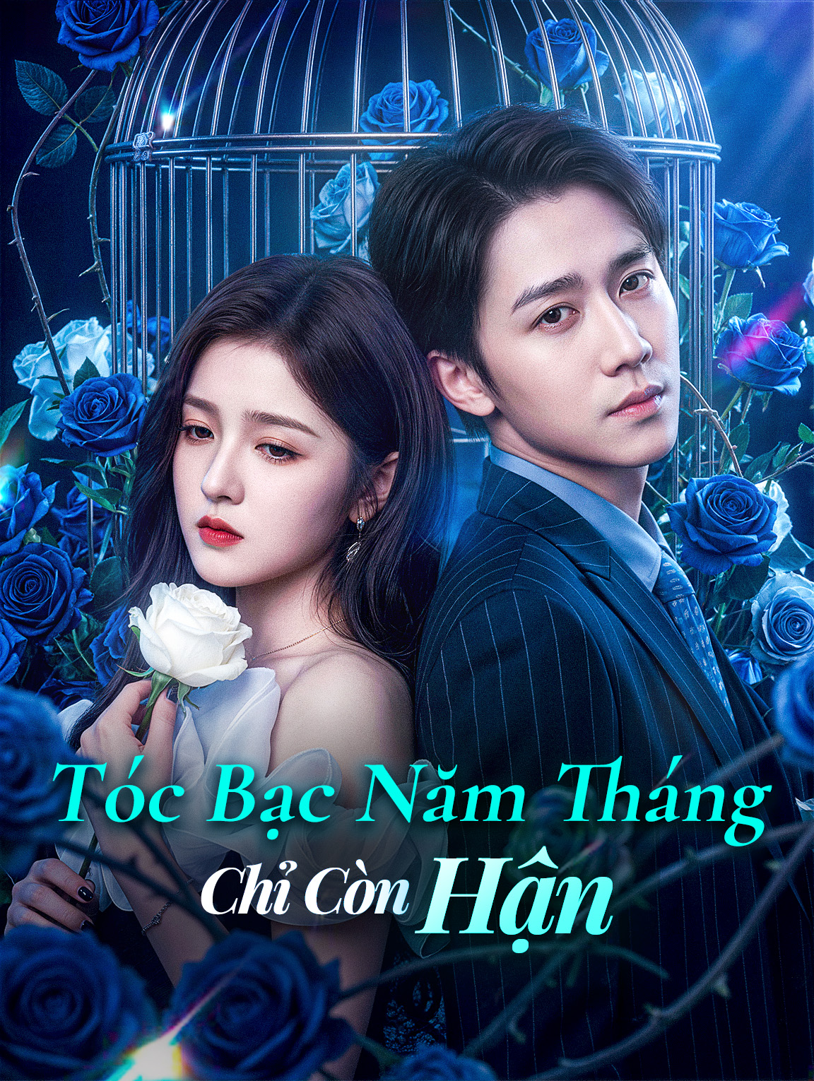 Tóc Bạc Năm Tháng Chỉ Còn Hận
