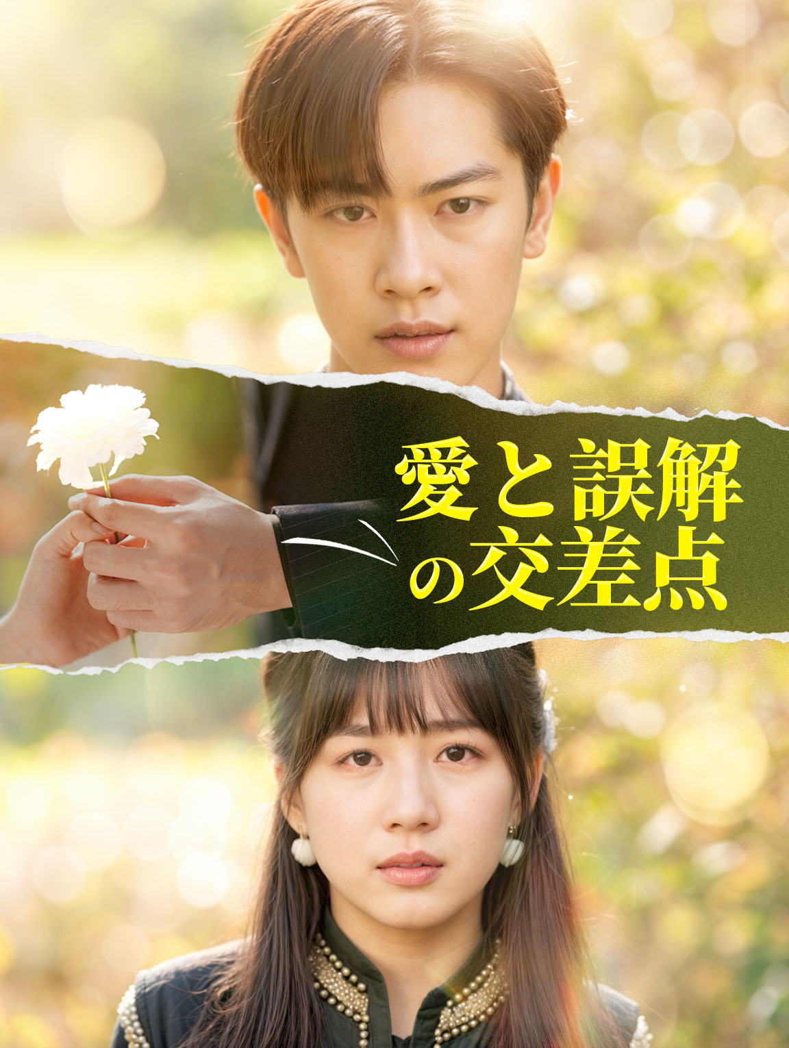 愛と誤解 の交差点