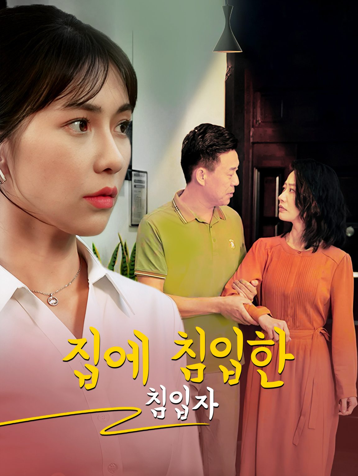 집에 침입한 침입자