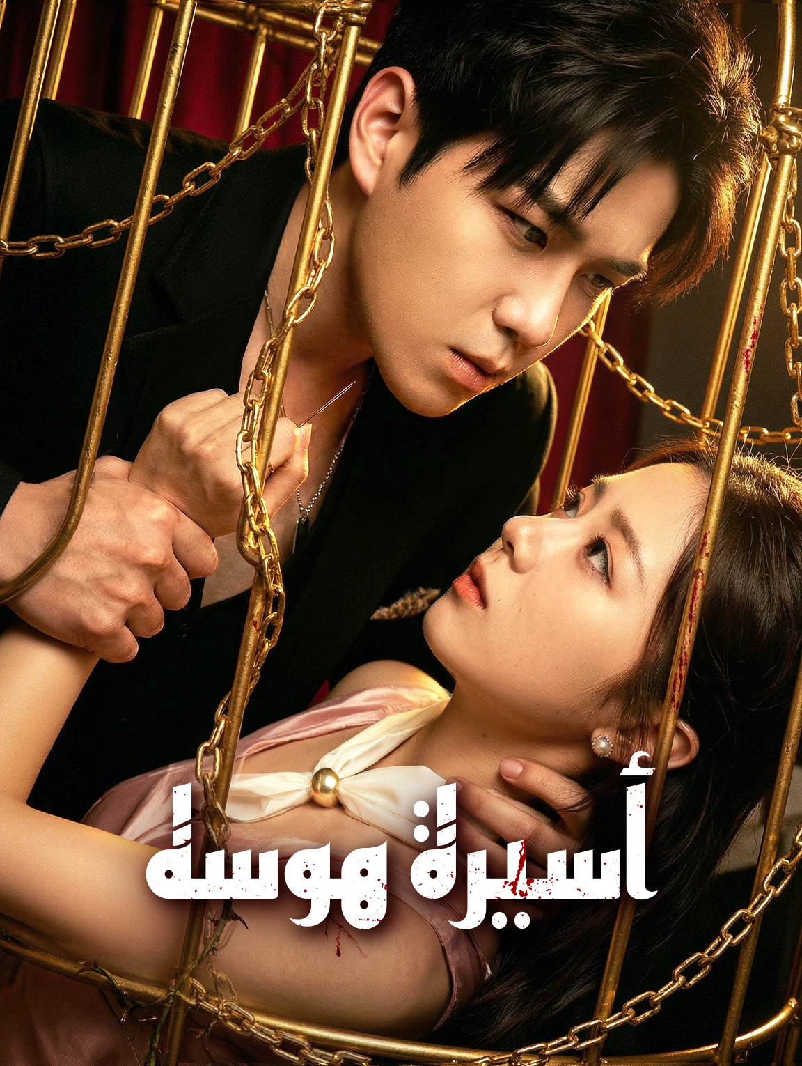أسيرة هوسه