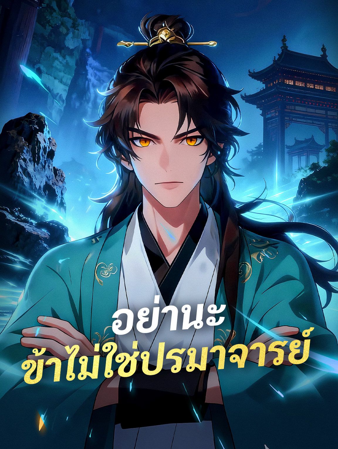อย่านะ ข้าไม่ใช่ปรมาจารย์