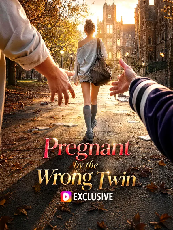 Poster Pregnant by the Wrong Twin