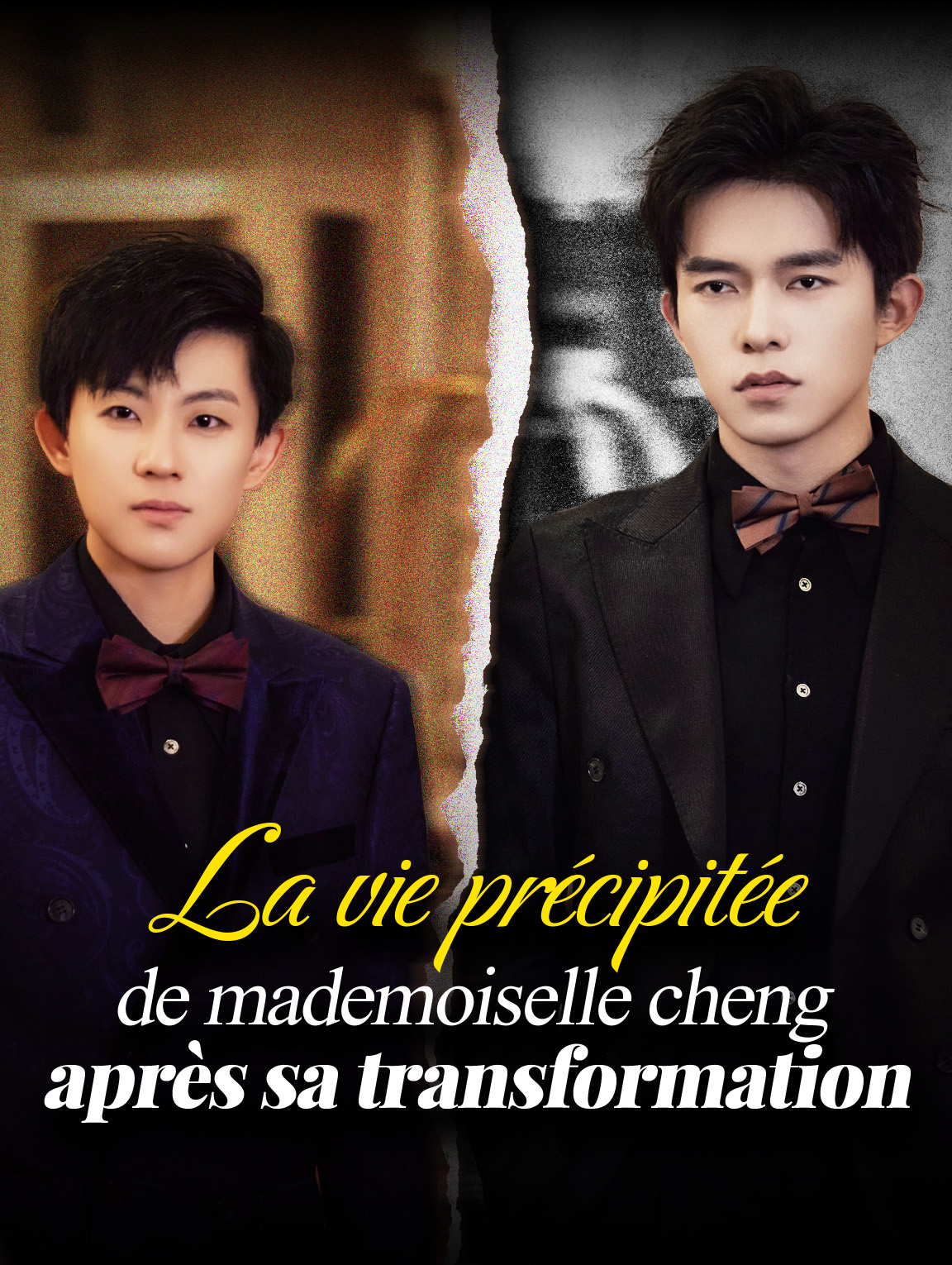 La Vie précipitée de mademoiselle Cheng après sa transformation