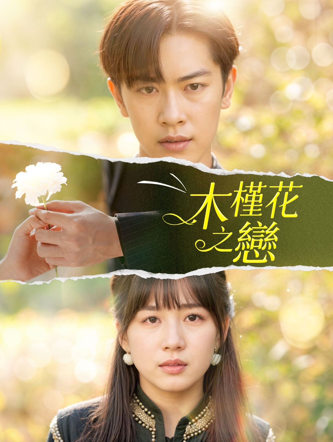 木槿花之戀