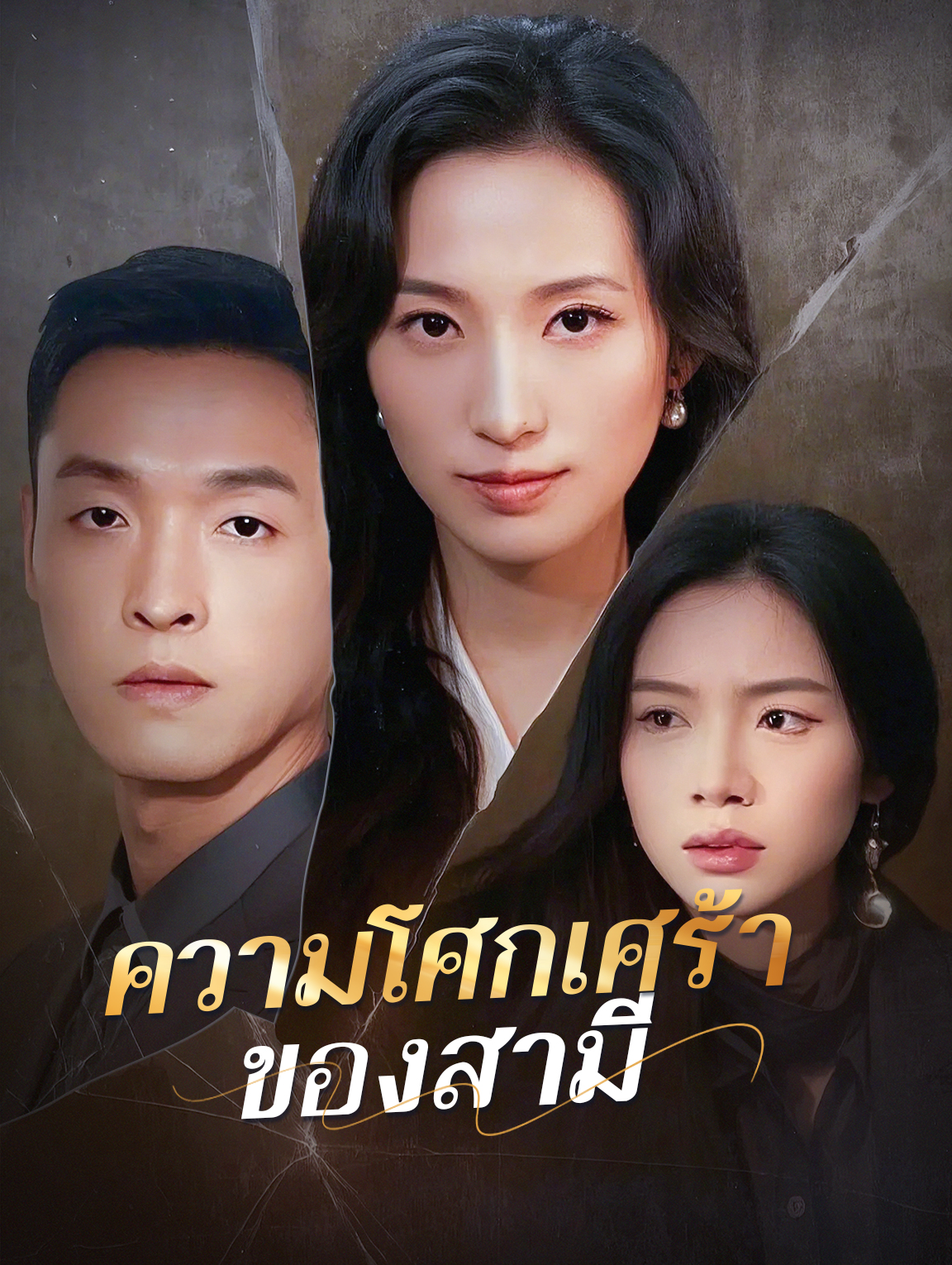 ความโศกเศร้า ของสามี