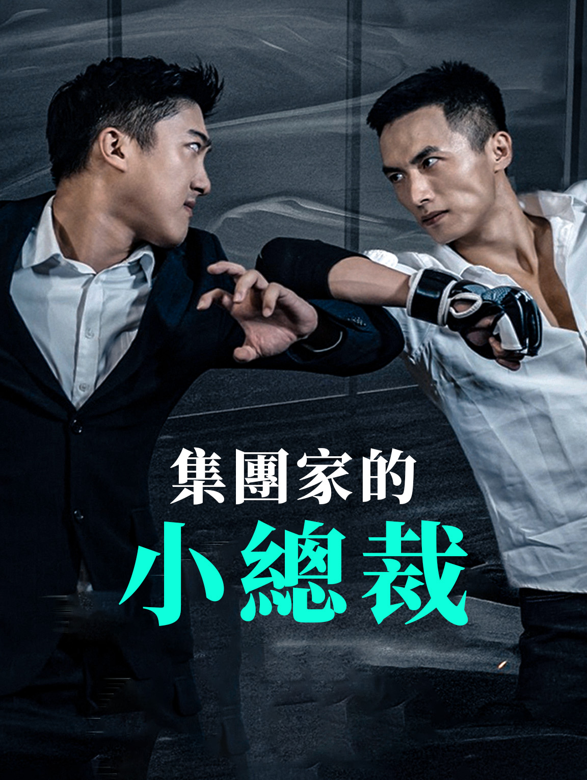 集團家的小總裁