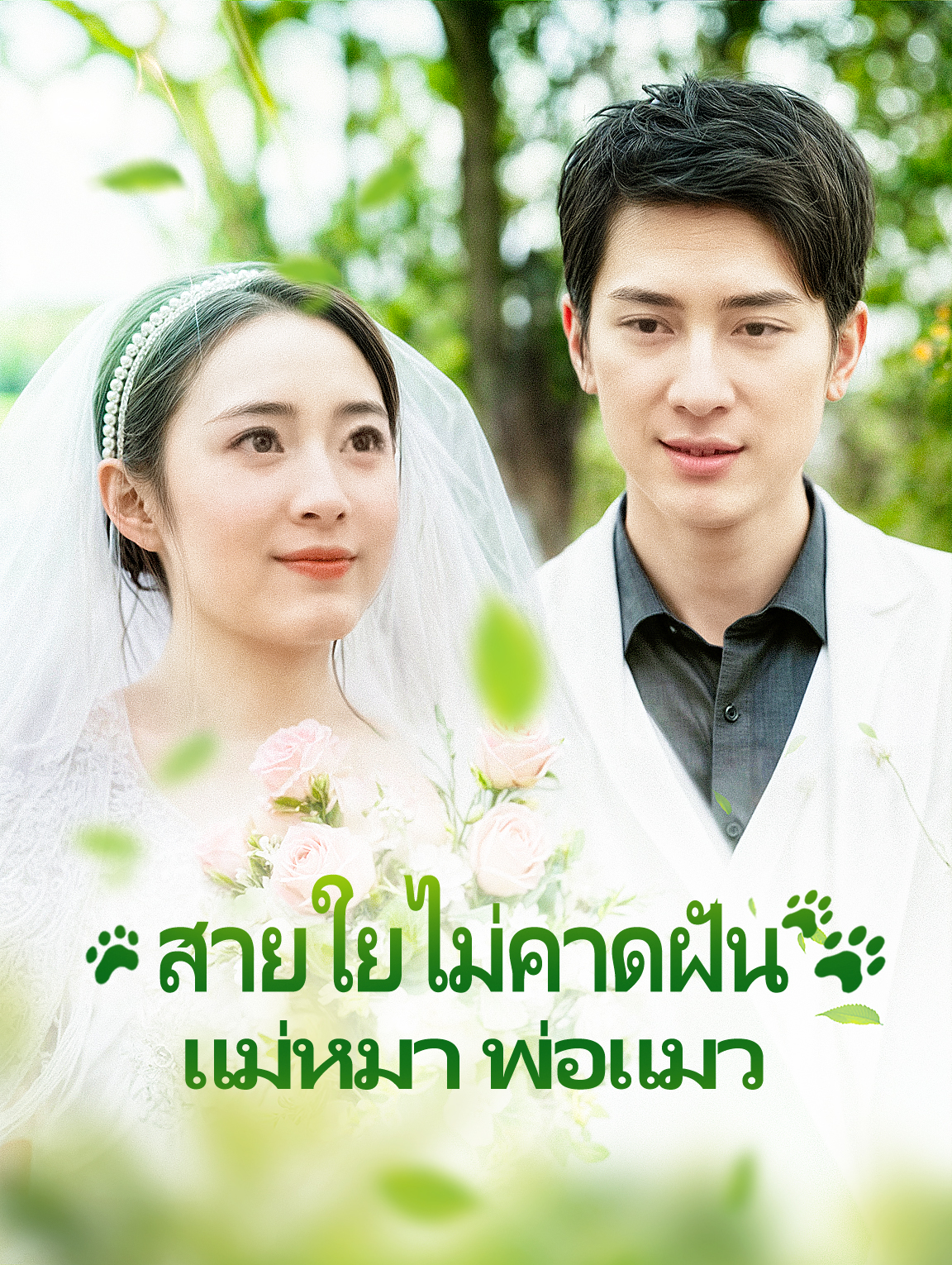 สายใยไม่คาดฝันแม่หมา พ่อแมว
