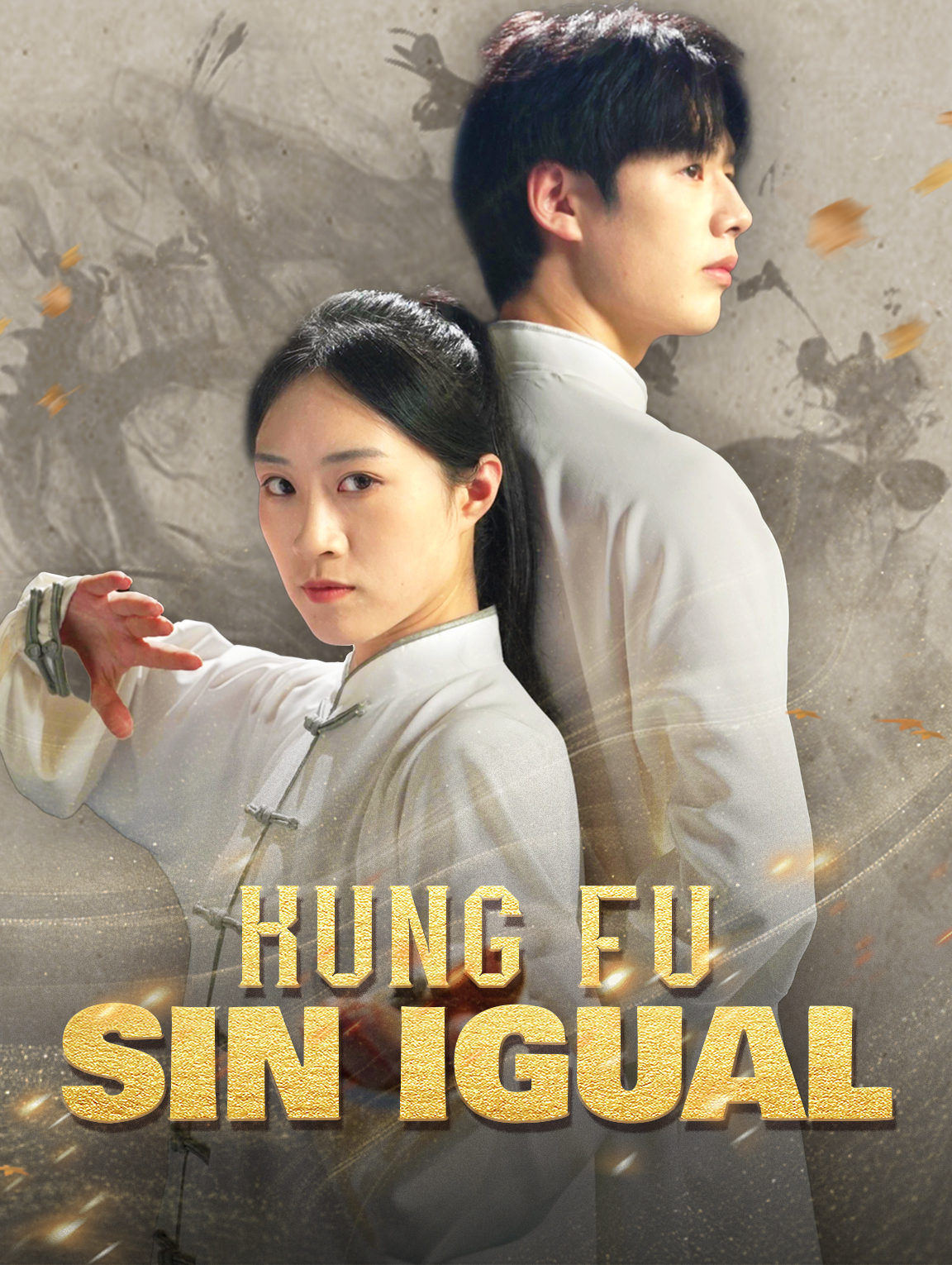 Kung Fu sin Igual