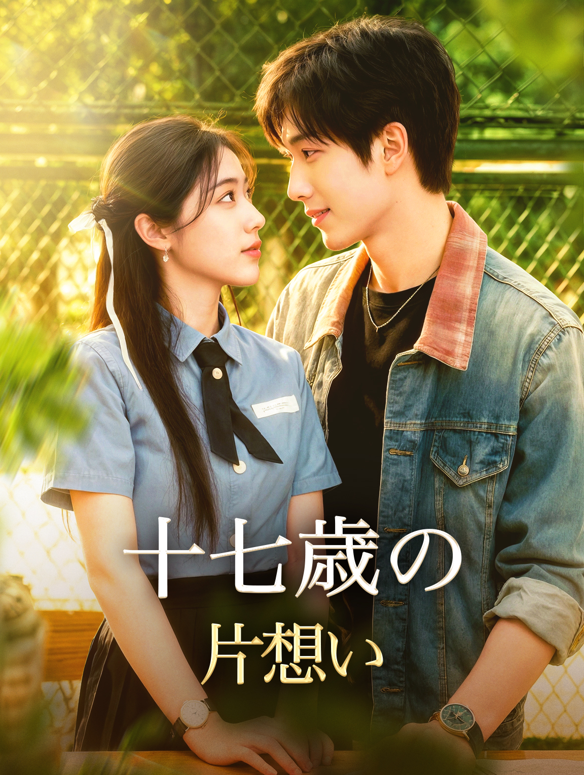 十七歳の片想い