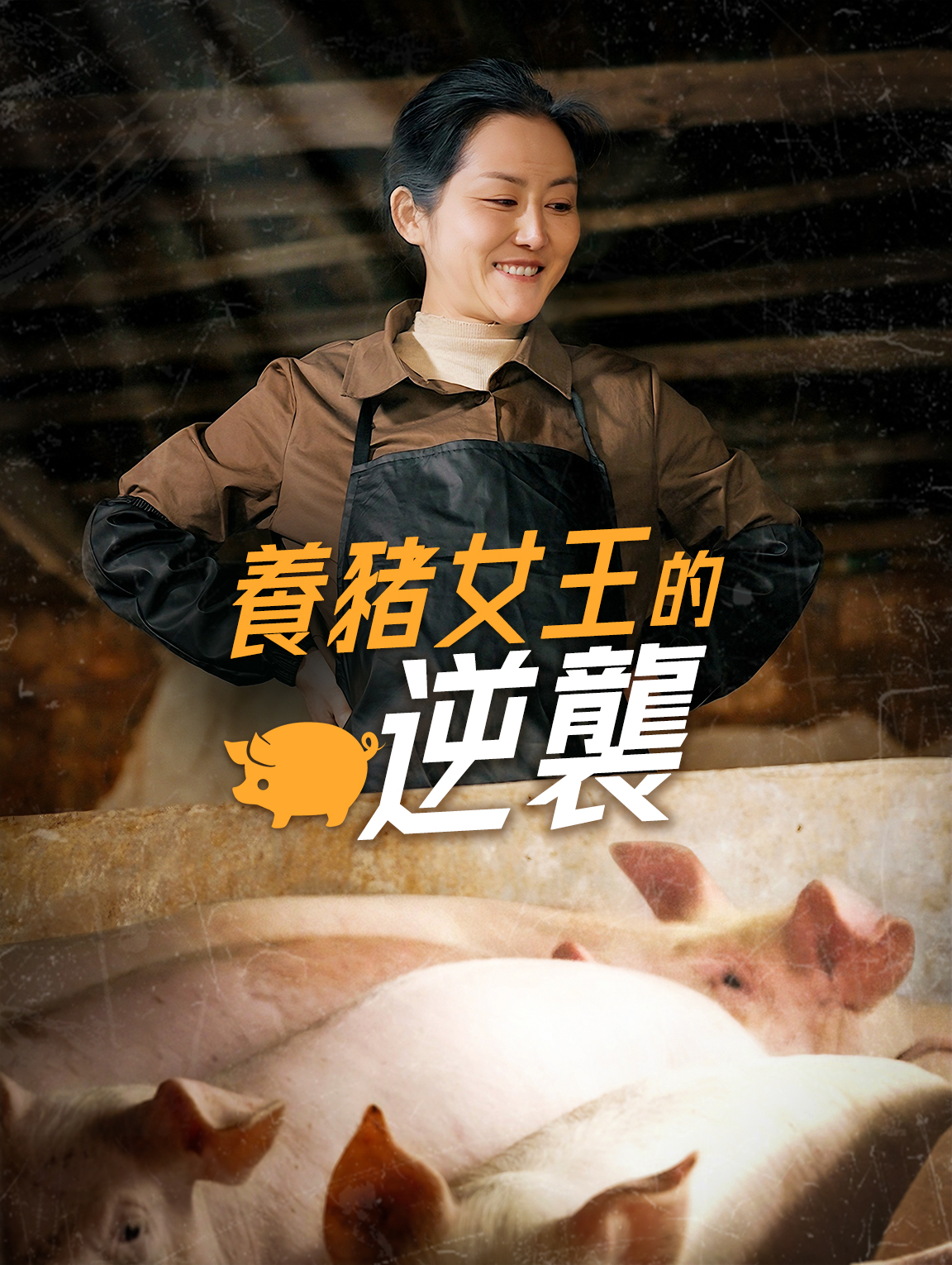 養豬女王的逆襲