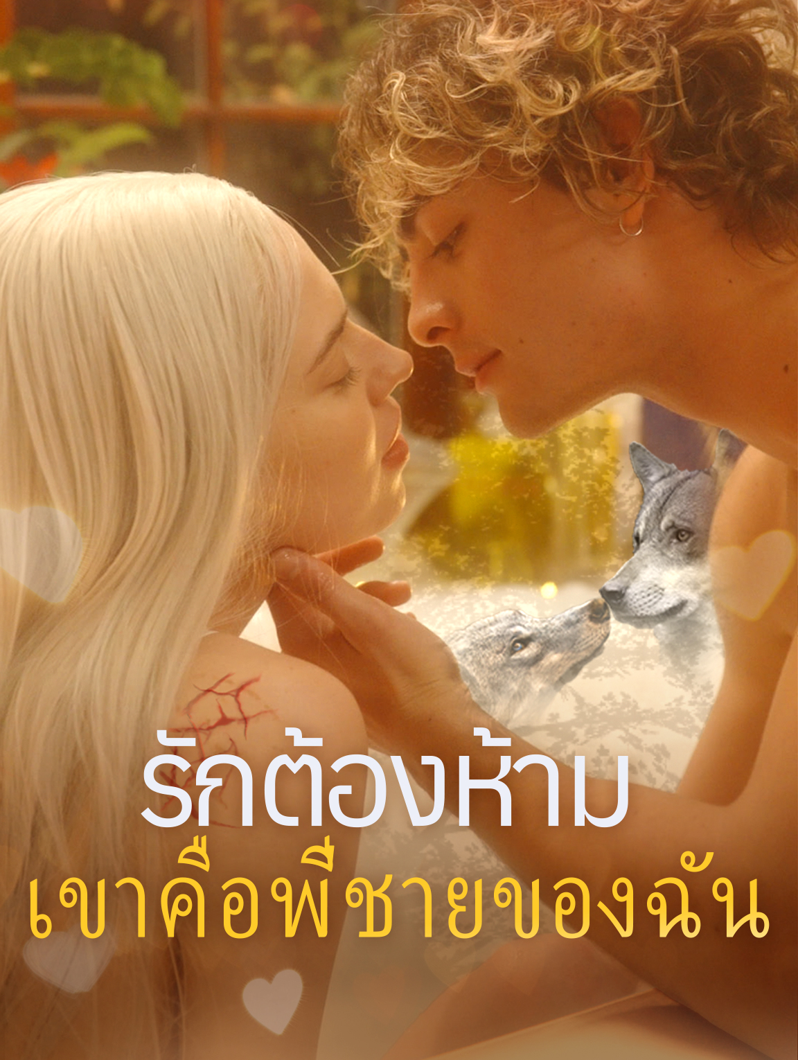 รักต้องห้าม เขาคือพี่ชายของฉัน