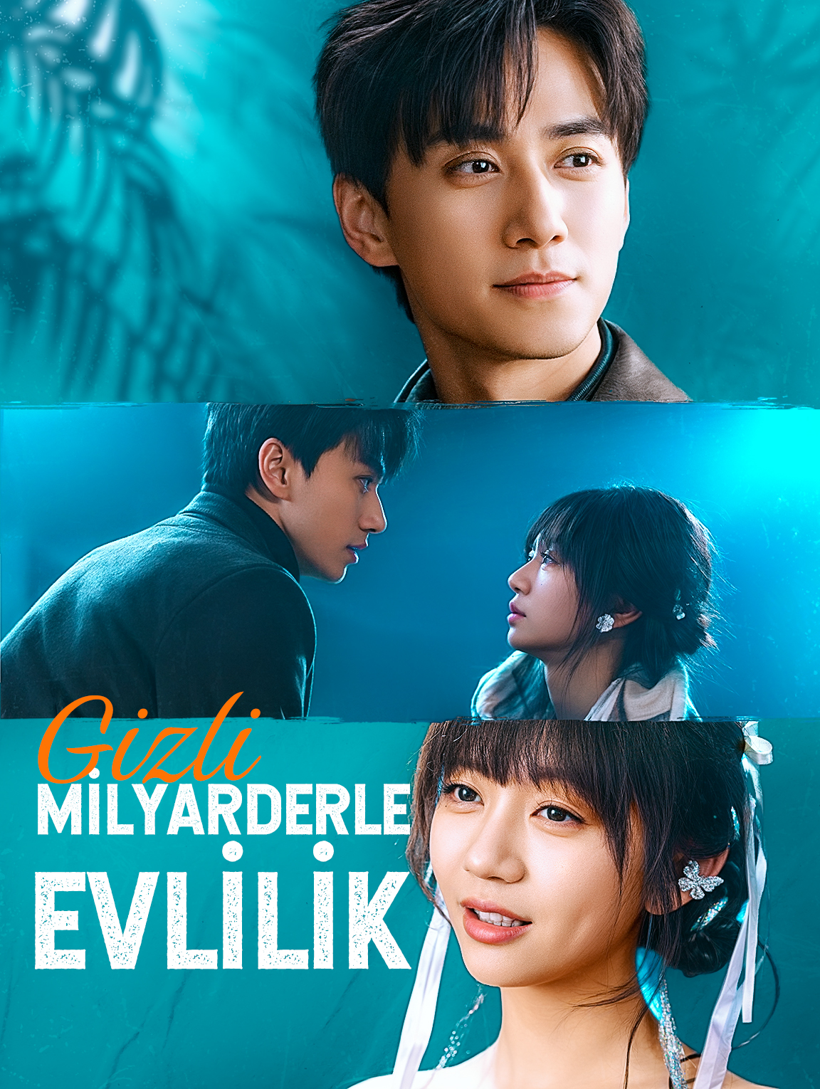 Gizli Milyarderle Evlilik