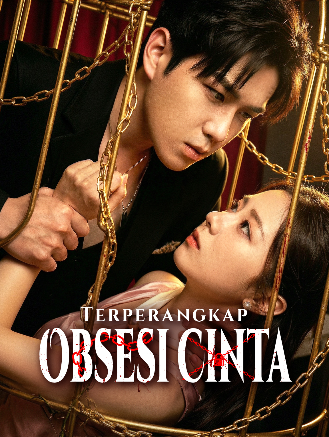 Terperangkap Obsesi Cinta