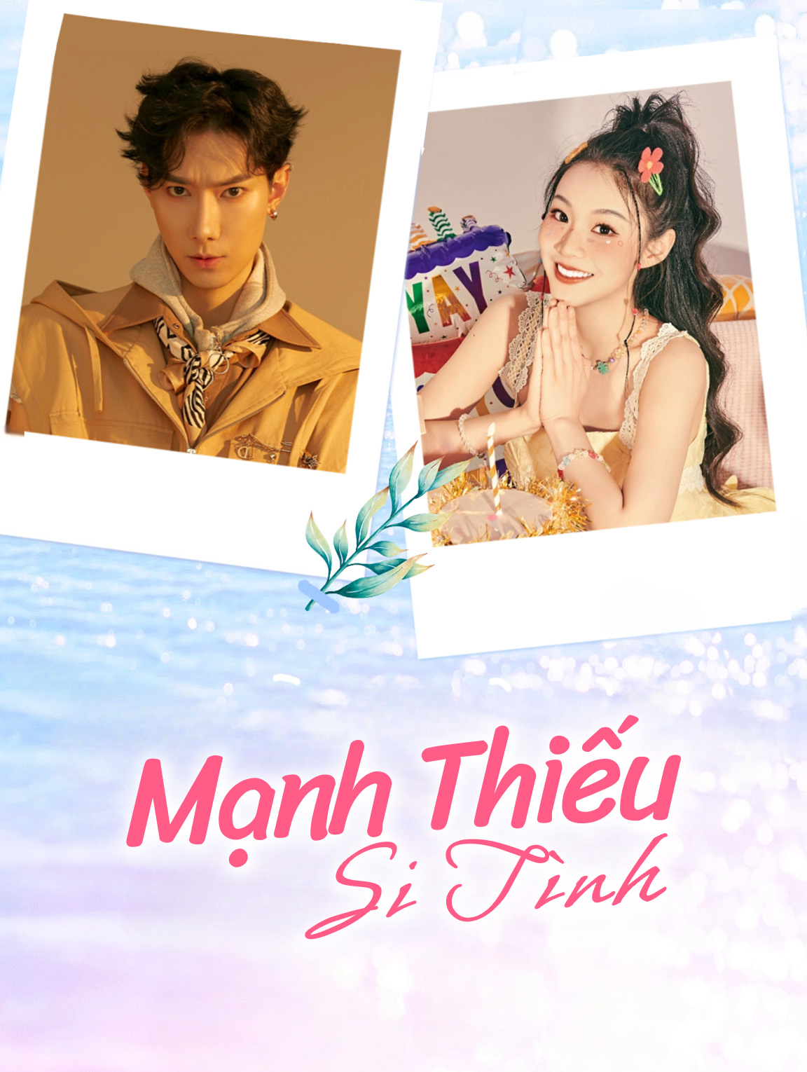 Mạnh Thiếu Si Tình