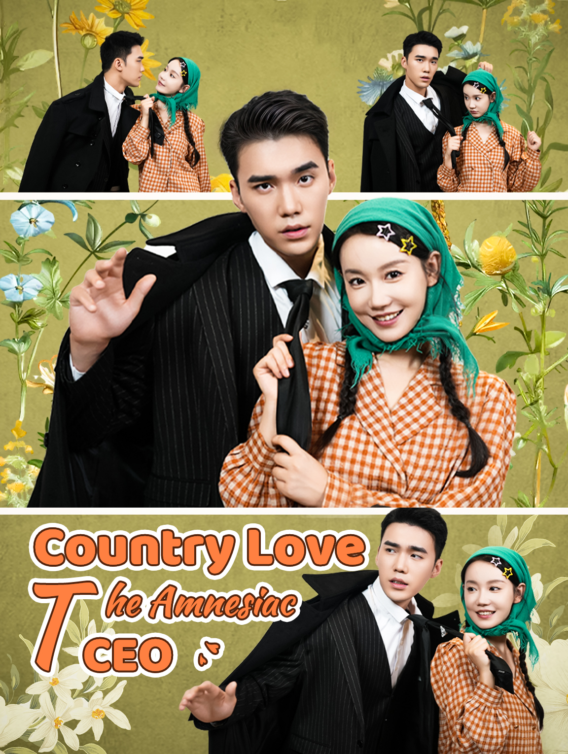 Country Love: The Amnesiac CEO