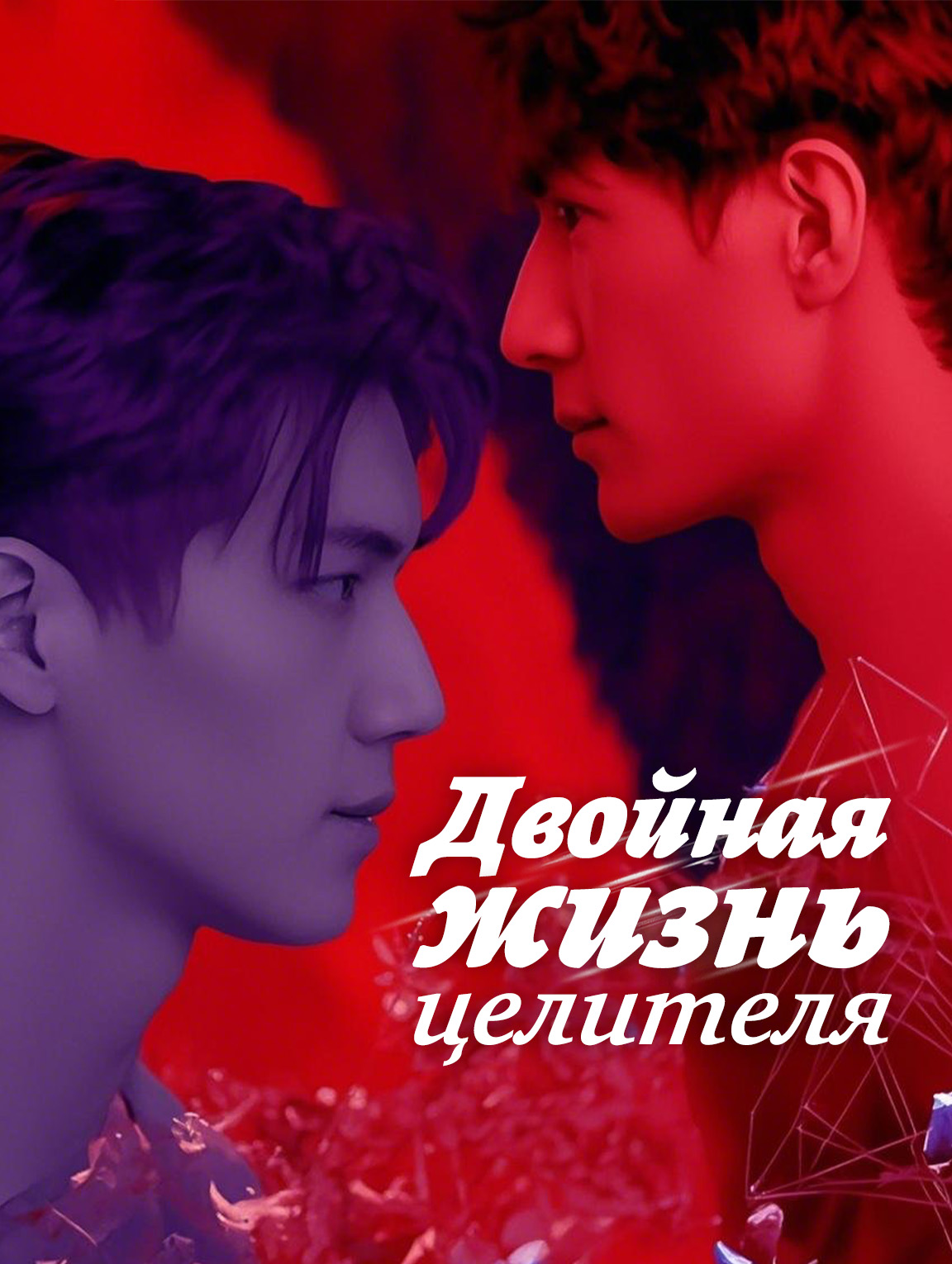 Двойная жизнь целителя