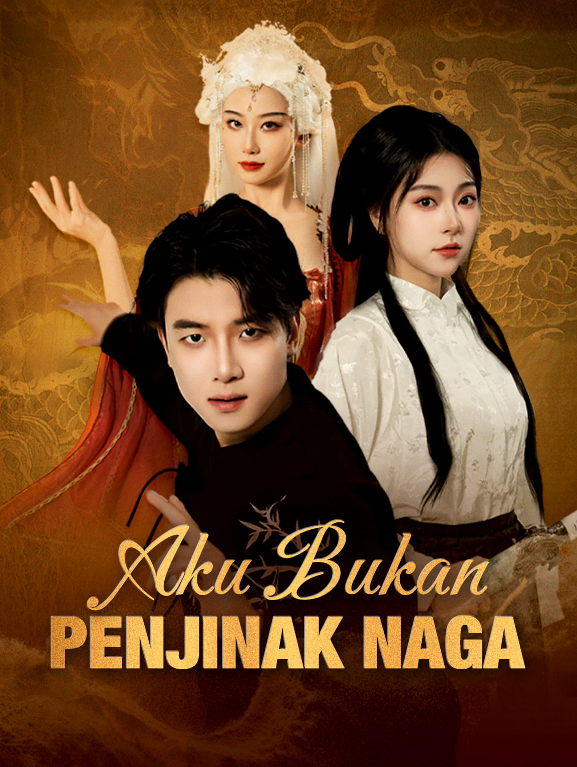 Aku Bukan Penjinak Naga