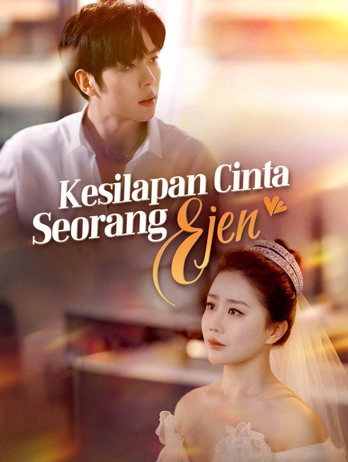 Kesilapan Cinta Seorang Ejen