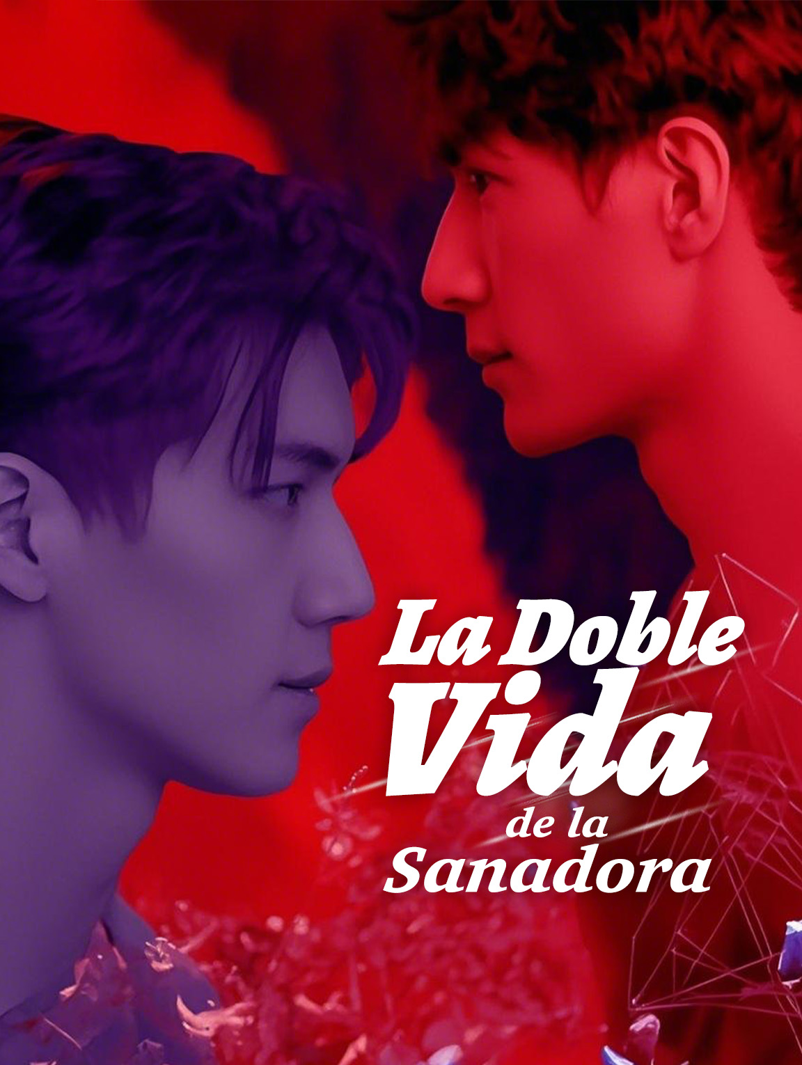 La Doble Vida de la Sanadora