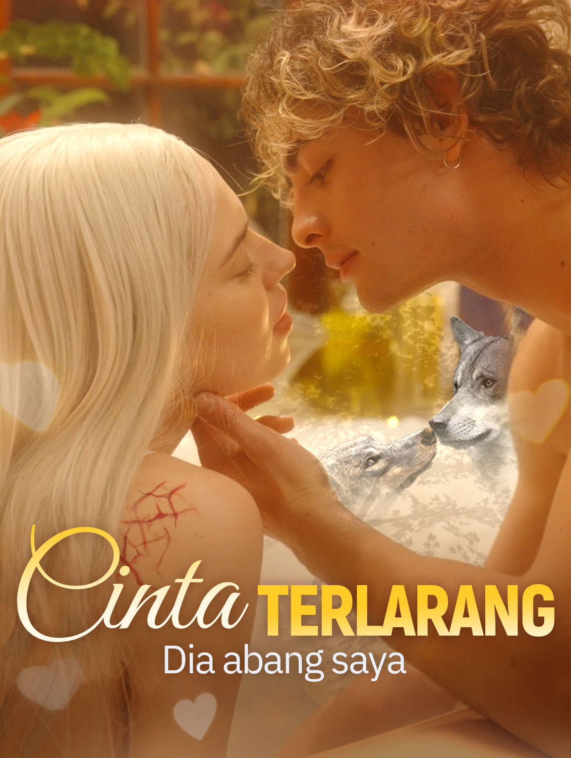 Cinta Terlarang Dia abang saya