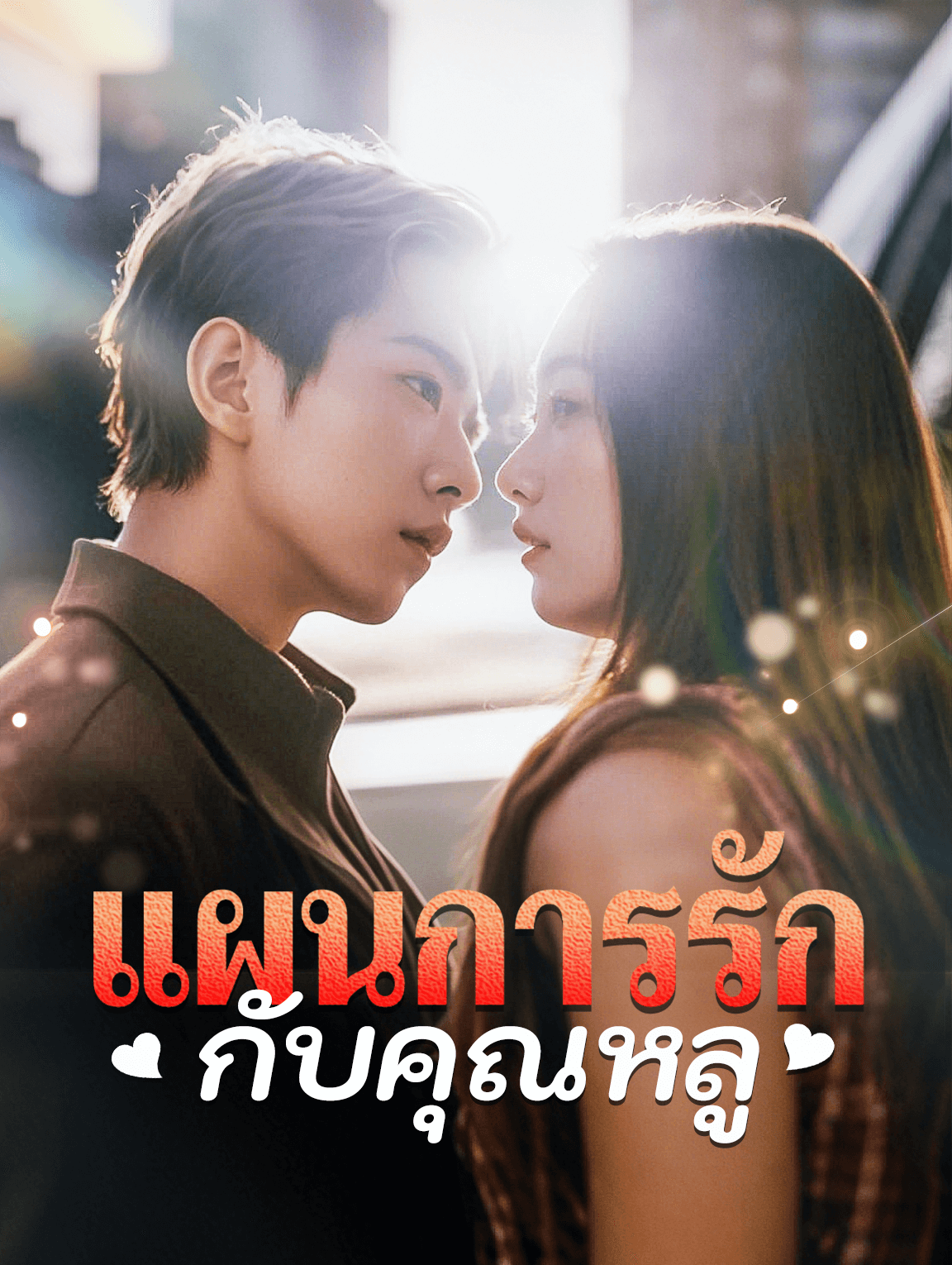แผนการรักกับคุณหลู