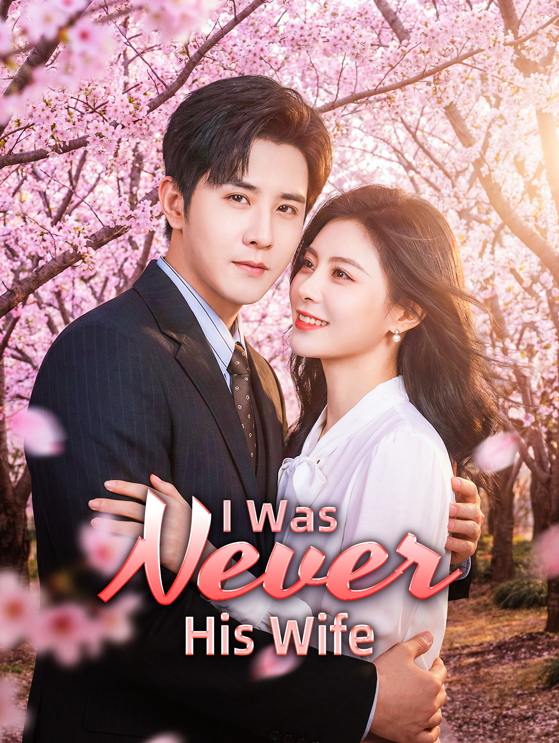 Aku Tak Pernah Menjadi Istrinya