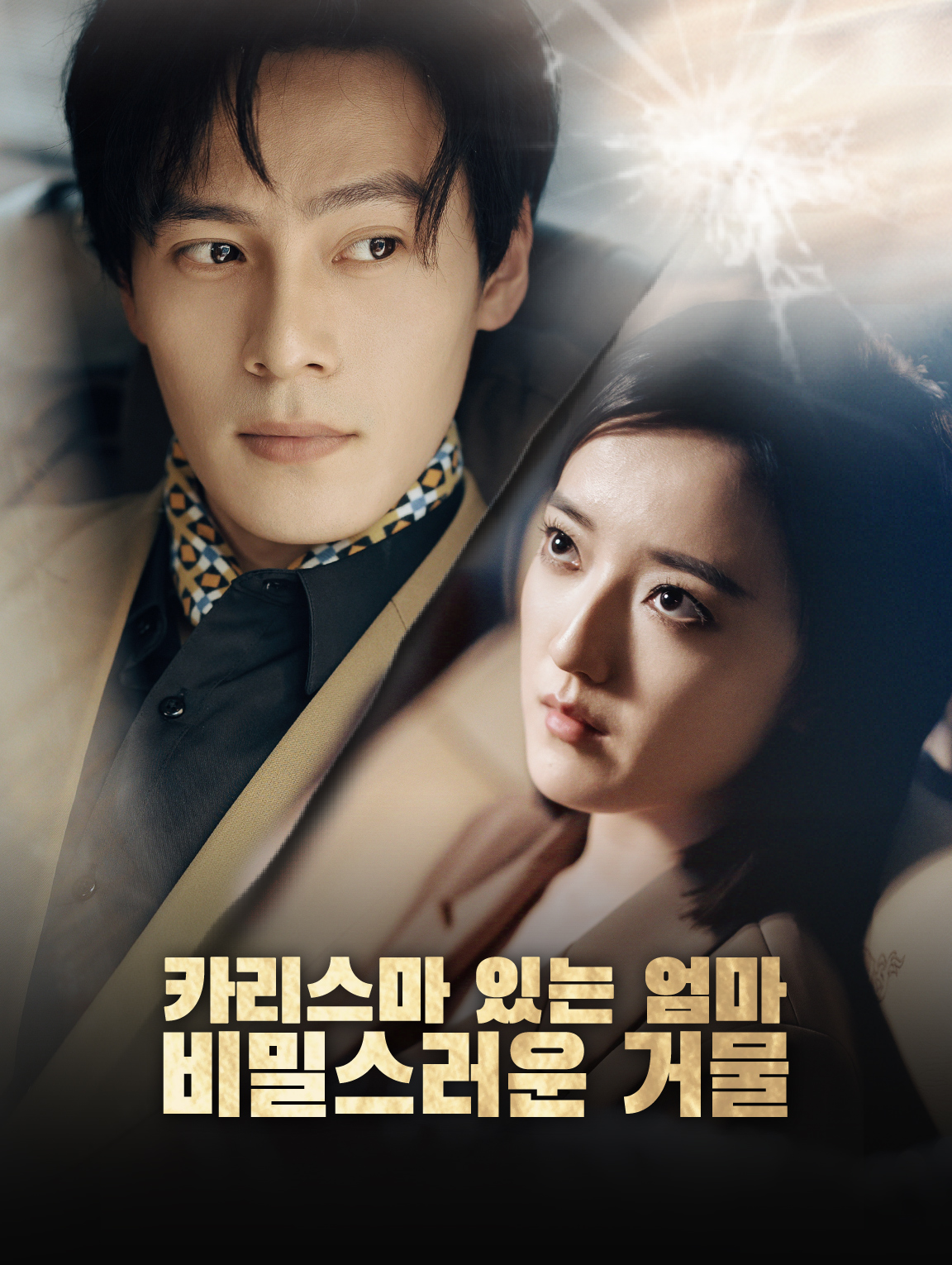 카리스마 있는 엄마: 비밀스러운 거물