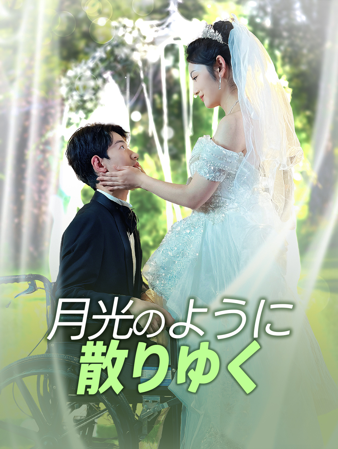 月光のように散りゆく