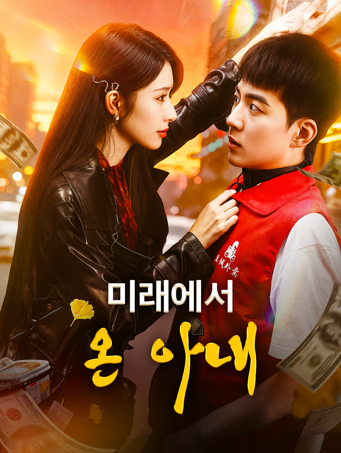 미래에서 온 아내