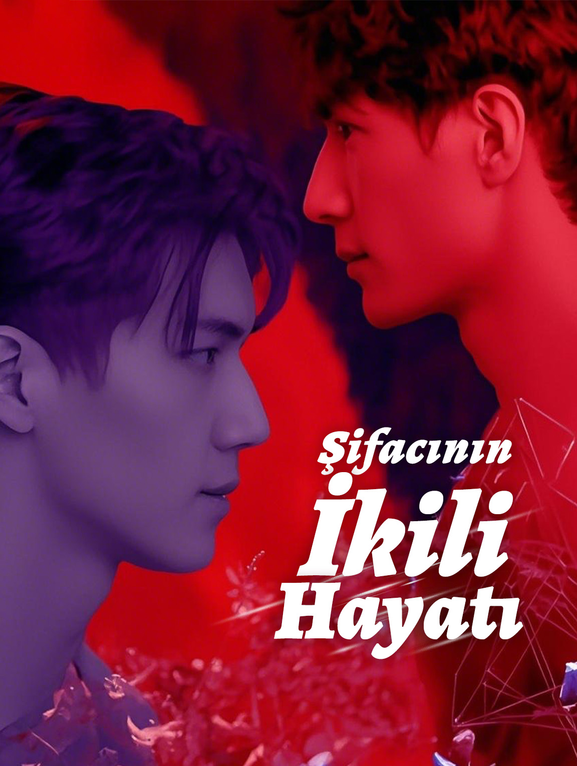 Şifacının İkili Hayatı