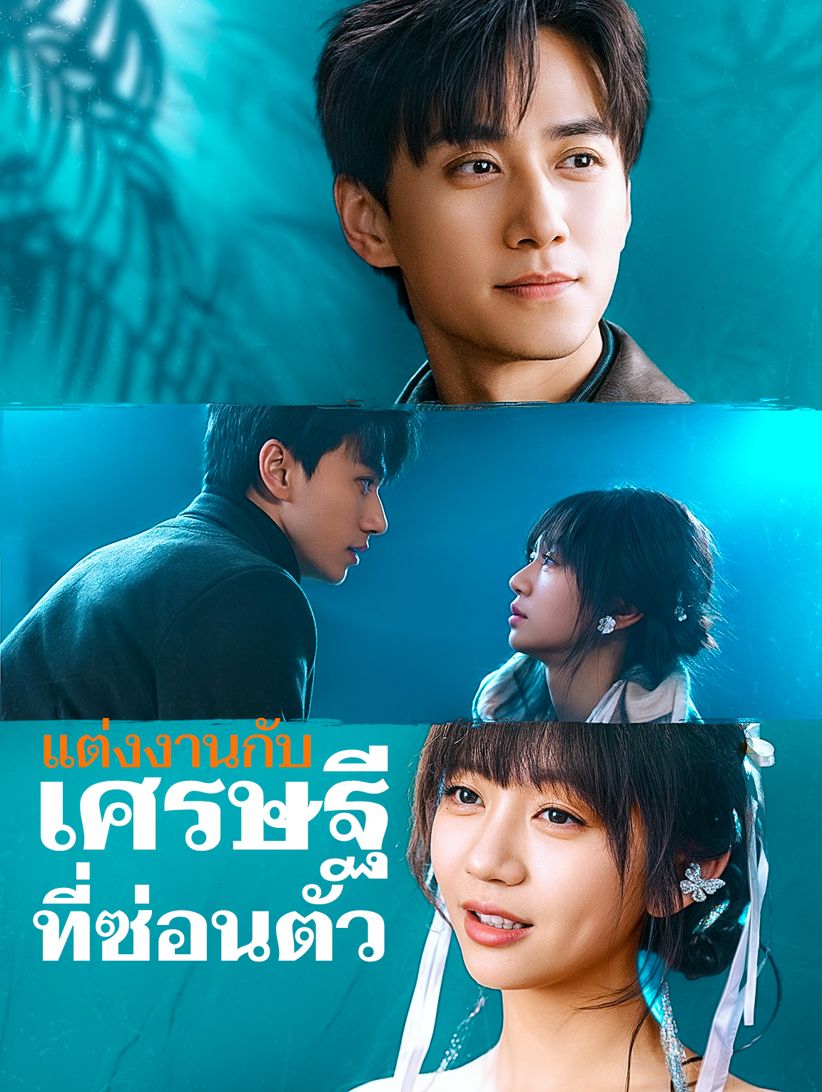 แต่งงานกับเศรษฐีที่ซ่อนตัว