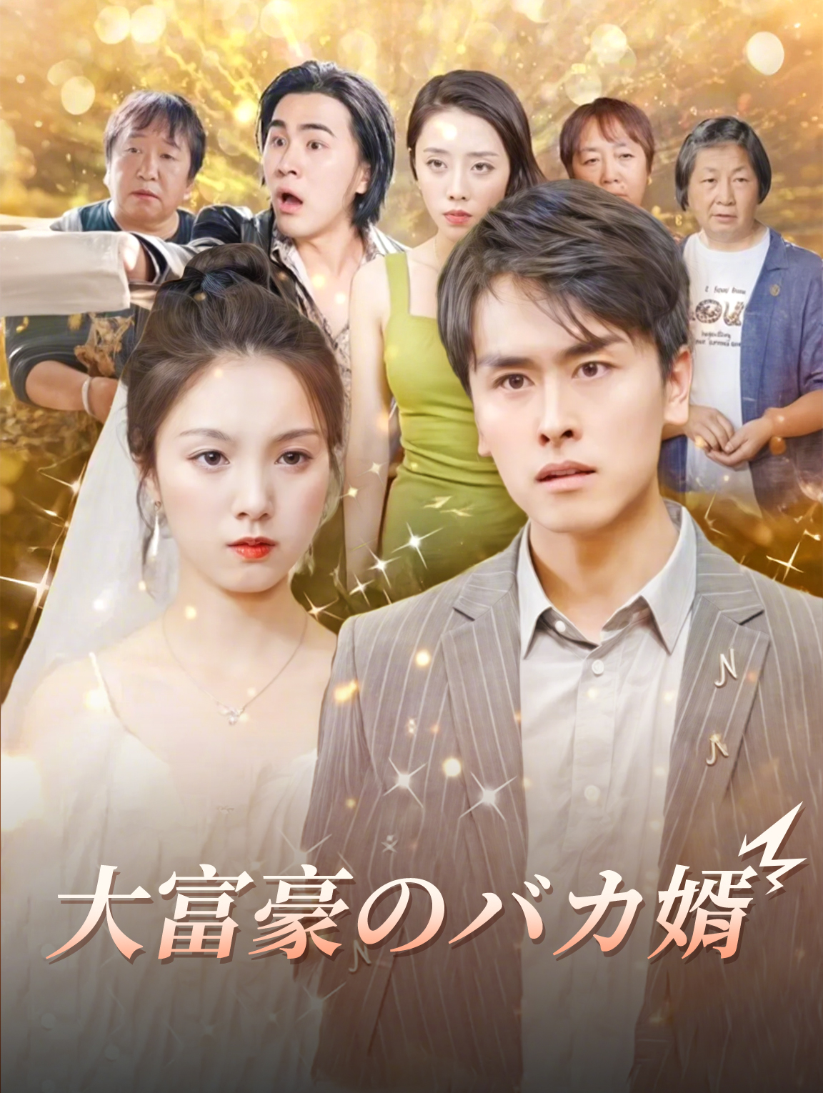 大富豪のバカ婿