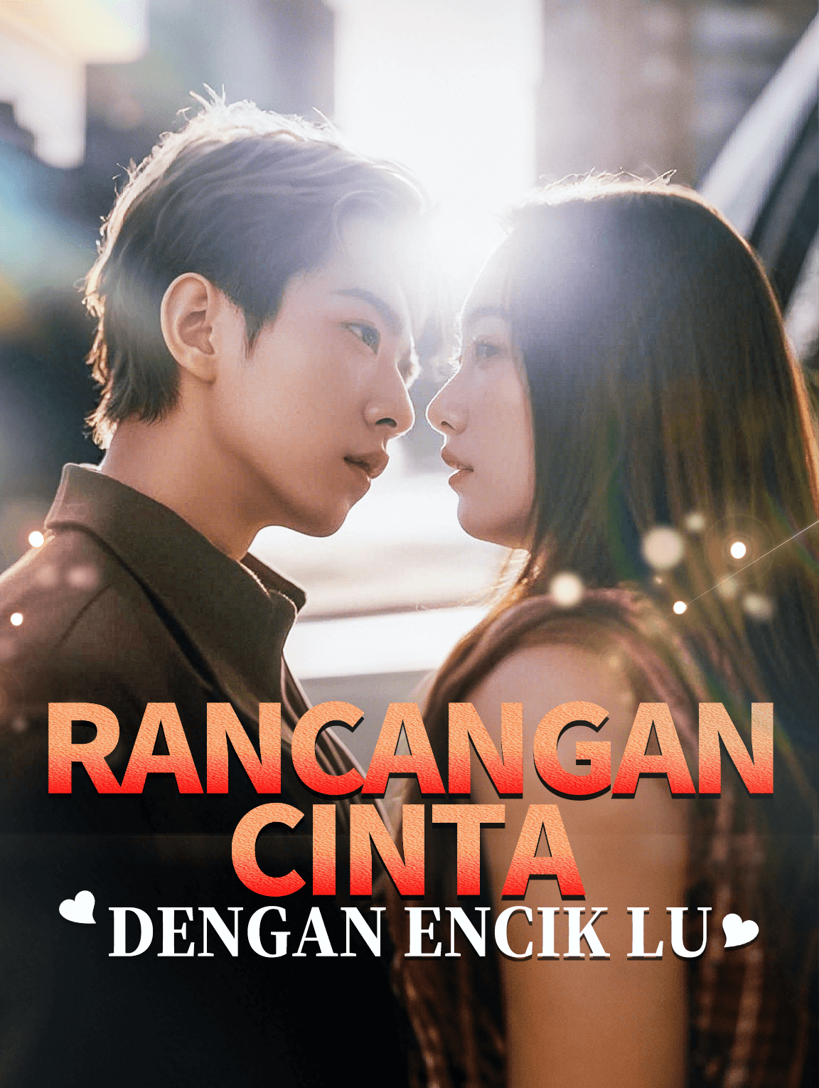 Rancangan Cinta dengan Encik Lu